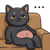 841856281