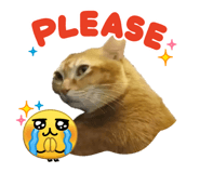841856600