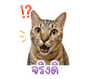 841857396