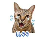841857405