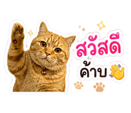 841857641
