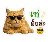 841857647