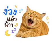 841857663