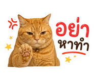 841857679