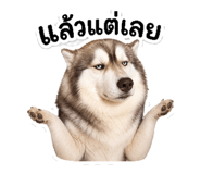 841858270