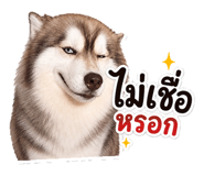 841858272