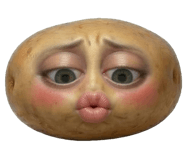841859907