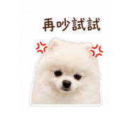 841860003