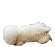 841860862