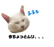 841861283