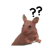 841861437