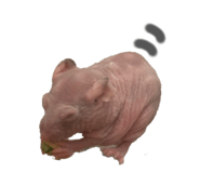 841861443