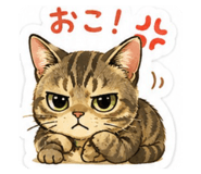 841863528