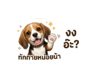 841864387