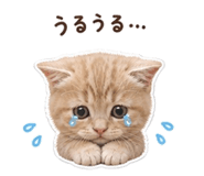 841866005