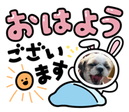 841866244