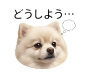 841866255
