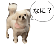 841866509