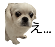 841866511