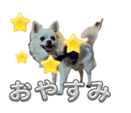 841866558