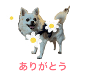 841866560