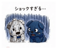 841866722