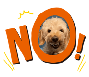 841867142