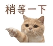 841867792