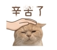 841867794