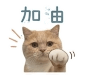 841867798