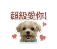 841867963