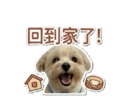 841867966