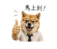 841868587