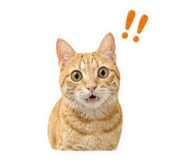 841868749