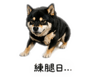 841869189