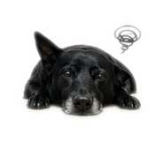 841869277