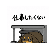 841869300