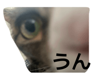 841870318
