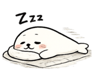 841870802
