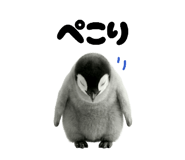 841871060