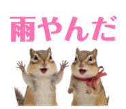841871122