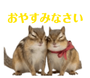 841871127