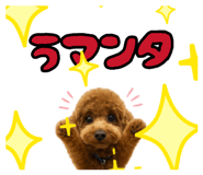 841871268
