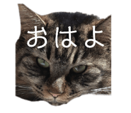 841871385