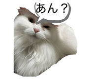 841871395