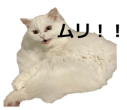 841871397