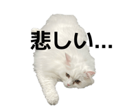 841871400