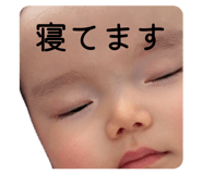 841871531