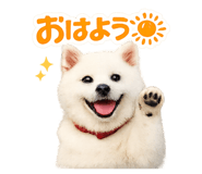 841872009