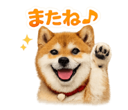 841872014